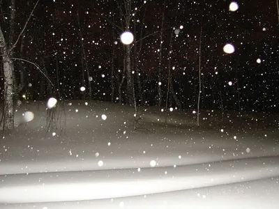 Ночной снегопад | Пикабу