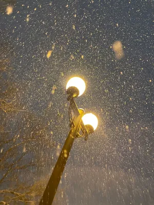 Ночной снегопад (Марина Фролова 3) / Стихи.ру
