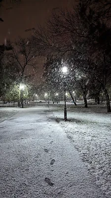 До 20 сантиметров снега выпало в новогоднюю ночь в Алматы - Аналитический  интернет-журнал Власть