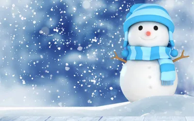 С Днем Рождения, снеговик!» Зимние забавы – Территория чтения