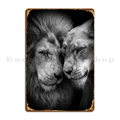 Черно-белая металлическая вывеска с надписью «Любовь львов» | AliExpress