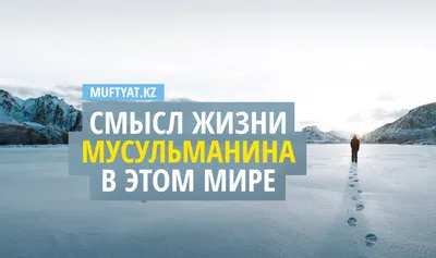 Жизнь без любви не имеет смысла; Любовь — вода жизни, Пей же её и сердцем,  и душой. - Джалаледдин Руми #любовь #жизнь #д… | Цитаты, Цитаты руми,  Удивительные цитаты