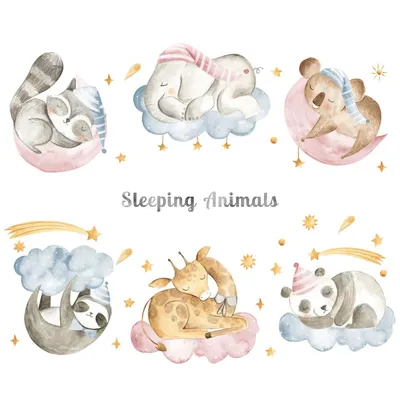 Красивая открытка со спящими животными | Ночь, Спокойной ночи, Открытки