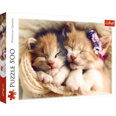 Постер со спящим кроликом Postery купить в интернет-магазине | HMonline.ru