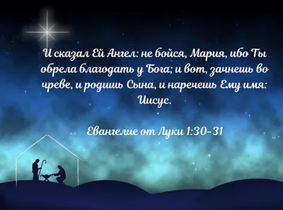 126 Библейские стихи о жизни - DailyVerses.net