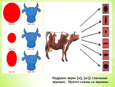 Фонетический период. Занятие 9 \"Согласные звуки\". Звуки [М] и [М']. | Мио  логопед Кристина Борисова | Дзен