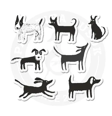Черно-белые собаки: описание, фото и цены