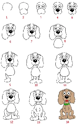 Как нарисовать собаку | Учимся рисовать собаку карандашом поэтапно