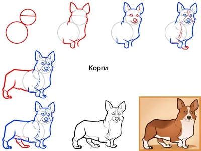 Как рисовать собаку | Рисование iso_new