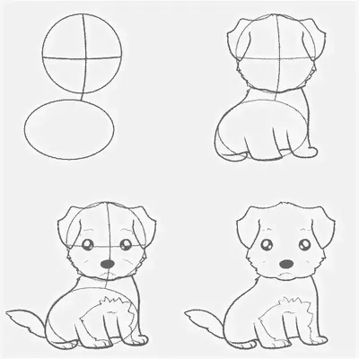 Рисовать собак легко! - \"Игры и Игрушки\" №1-2021