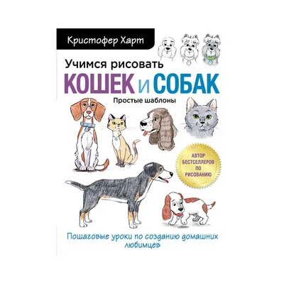 Как нарисовать собаку карандашом поэтапно? Простой мастер-класс для  начинающих и детей, как рисовать взрослую собаку или щенка