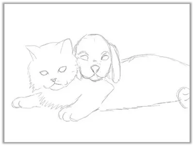 В животном мире. Образ собаки. Черно-белая окраска рисования. Иллюстрация  штока - иллюстрации насчитывающей любимчик, природа: 206567088