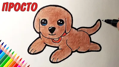 How to draw a cute puppy whole, easy drawings for kids and beginners  #drawings - YouTube