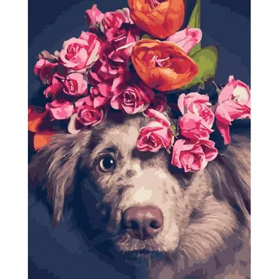Картина по номерам Собака в цветах, Raskraski, GX43255 - описание, отзывы,  продажа | CultMall