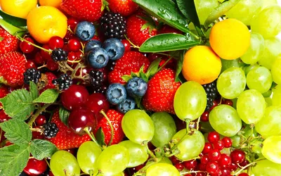 Экзотические фрукты: разнообразные виды, удивительные вкусы и непривычный  вид