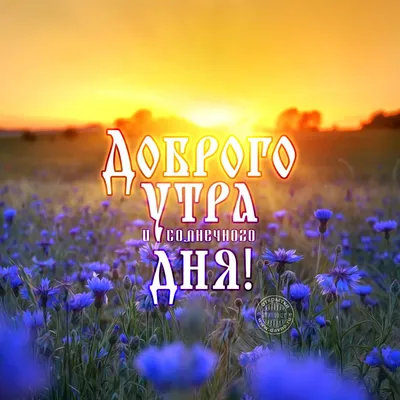 Доброе утро, Солнышко;) - Доброе утро - Повседневная анимация - Анимация -  SuperGif