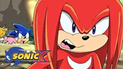 Sonic X Complete Series (Japanese Language) Blu-ray | Crunchyroll Store