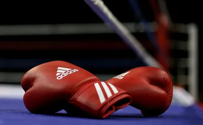 Бокс – это один из самых популярных видов спорта в мире. | Статьяник | Дзен