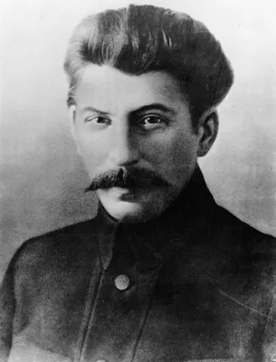 ЭС: И.В.Сталин | Летопись Московского университета