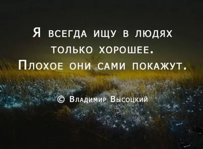 Статусы Со смыслом сделал(-а) публикацию в Instagram: “Поддержите нас  лайком ❤️❤️❤️ Подписывайтесь👇 @citativk @citativk @citativk #citativ… |  Мысли, Открытки, Лето