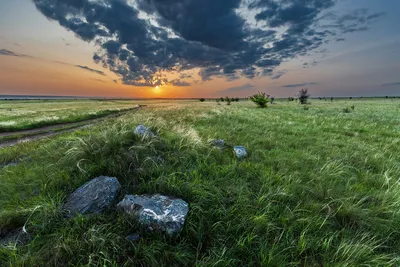 Может ли Казахстан называться страной великой степи? - Аналитический  интернет-журнал Власть