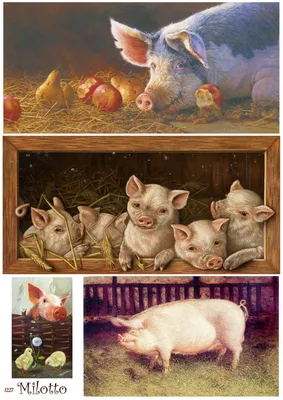 Картинки свинок для декупажа фотографии