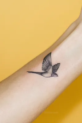 Тату на плече. Тату птица. Тату на ключице для девушек. 100+ татуировок и  эскизов на сайте! | Body art tattoos, Bird tattoos for women, Stylist  tattoos