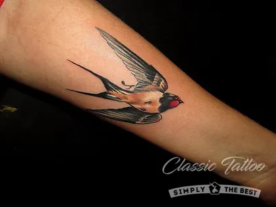 Значение татуировок - Птицы - Classic Tattoo