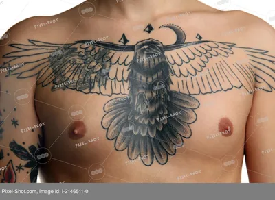 Временная переводная татуировка Птицы женщина 19x9см- купить по выгодной  цене в интернет-магазине OZON (599974841)