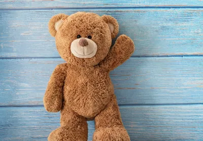 Bearlieve Bear Talking Teddy Bear | Shop at Build-A-Bear®