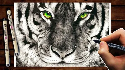 Голова тигра стилизована под угол, вектор, иллюстрация, узор, свободный  карандаш, нарисованная вручную. Дзен-арт. Украшенный вектор . Векторное  изображение ©RomanRoki 100219804