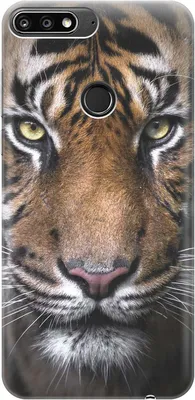 Cиликоновый чехол Тигр на Huawei Nova 2 Lite / Хуавей Нова 2 Лайт - купить  с доставкой по выгодным ценам в интернет-магазине OZON (265762469)