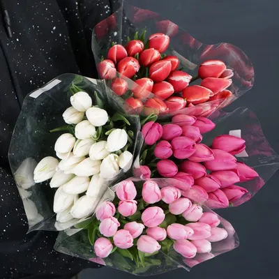 Тюльпаны розовые Т-16 купить по цене 1900.00 руб. с доставкой по Туле –  интернет-магазин «Расцветочка»