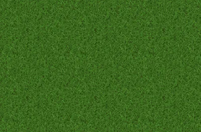 Текстура травы. стоковое изображение. изображение насчитывающей земля -  29421771