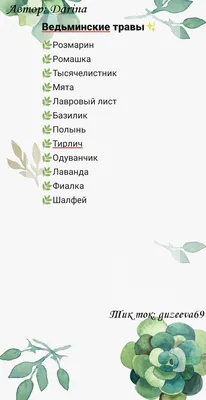 Комплекс для желудка 60 капс / серия Полезные травы купить в Москве в одном  из наших магазинов или с бесплатной доставкой по Москве в интернет-магазине  по низкой цене. Рецепты, применение, отзывы.