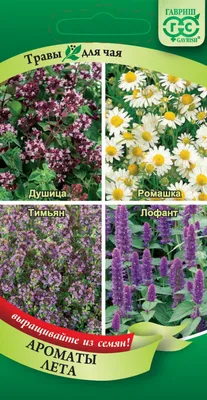 Весенний пал травы: опасность и ответственность | Официальный сайт  Новосибирска