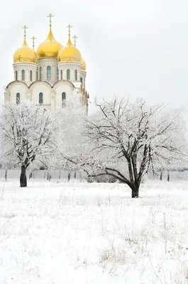 Взглянуть на храм изнутри / Культура / Новости на Чепецк.RU