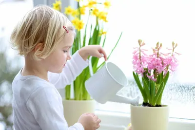 Комнатные растения для детской | Растения в детском саду