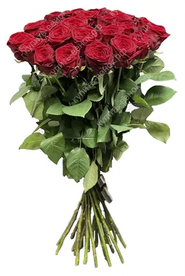 Букет цветов № 162 / гортензия, розы, эустомы, эвкалипт