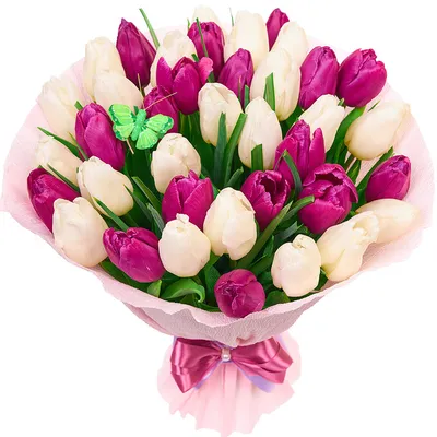 Тюльпаны к 8 марта продают от 100 до 200 рублей в Якутске - PrimaMedia.ru
