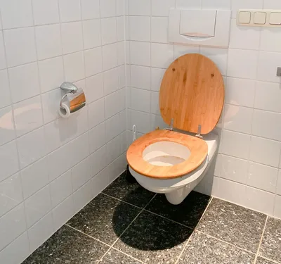 Современный интерьер туалета Стоковое Изображение - изображение  насчитывающей остроконечности, чисто: 200895081