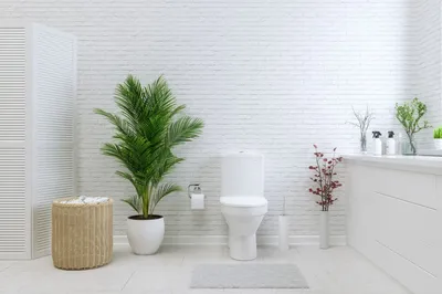Дизайн туалета в панельном доме (16 фото), варианты интерьера  малогабаритного туалета в панельном доме | Houzz Россия