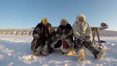 Пейзаж тундры» — создано в Шедевруме