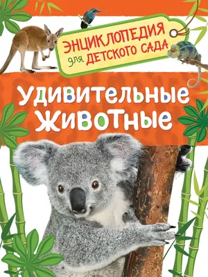 Книга \"Удивительные животные\" Ирина Травина - купить в Германии | BOOQUA.de