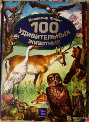 Книга Сказки об удивительных животных Европы купить по выгодной цене в  Минске, доставка почтой по Беларуси