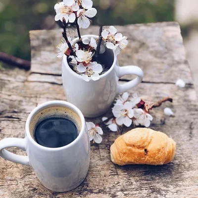 Доброе утро красивые картинки кофе море и цветы юмор любимая любимый  эстетика инстаграм сторис | Зимние цитаты, Доброе утро, Кофе