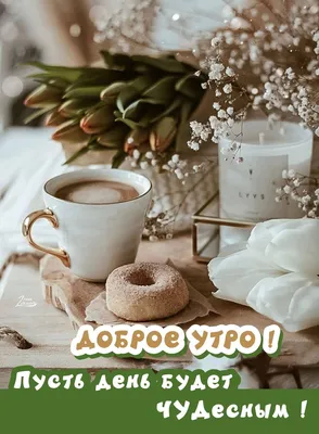Pin by ÐÐ°ÑÐ°Ð»ÑÑ ÐÐ°ÑÐ°Ð»Ð¸ on Доброе утро | Morning coffee photography,  Coffee flower, Good morning coffee