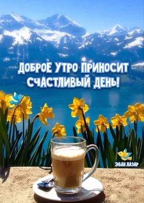Картинка: Доброе утро! Снова Весна пьёт чашку кофе.