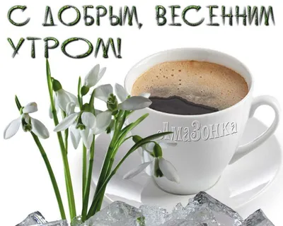 Утро кофе Весна - красивые фото