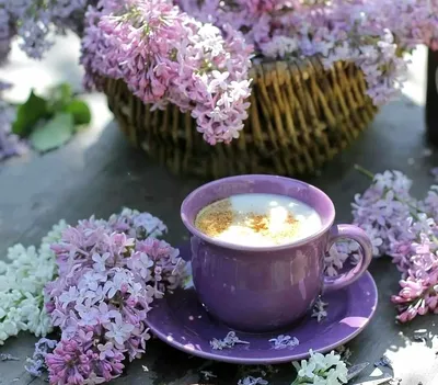 Кофе Весна Цветы - Бесплатное фото на Pixabay - Pixabay
